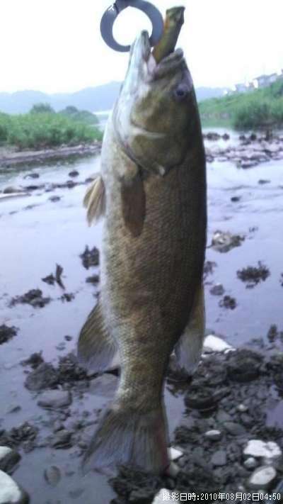 �֥�å��Х�