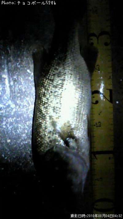 �֥�å��Х�