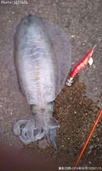 �����ꥤ��