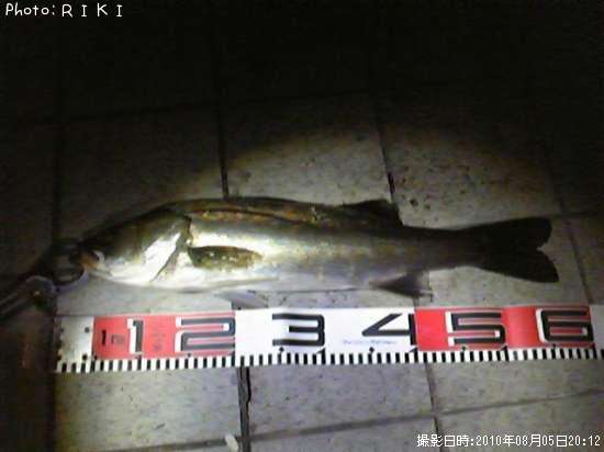 �����Х�