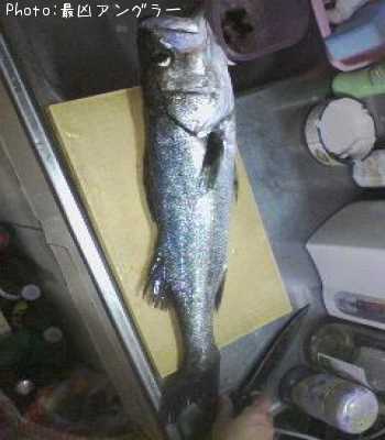 �����Х�