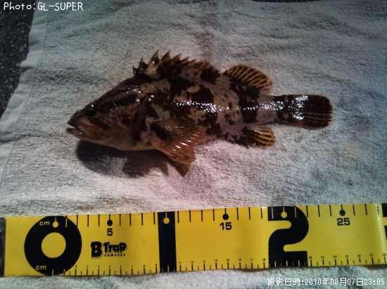 �����Υ���Х�