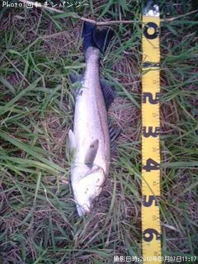 �����Х�