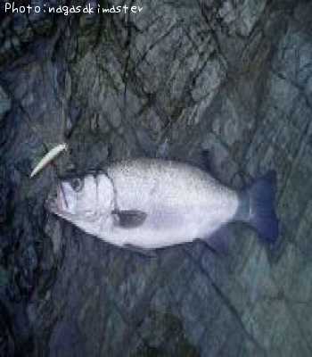 �ҥ饹����