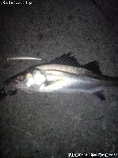 �����Х�