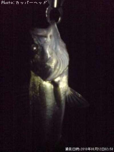 �����Х�