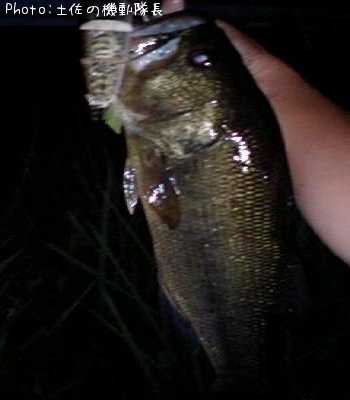 �֥�å��Х�