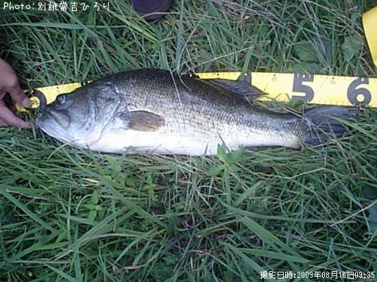 �֥�å��Х�