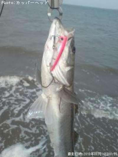 �����Х�