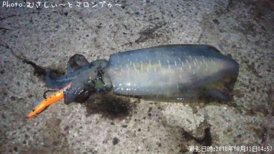 �����ꥤ��