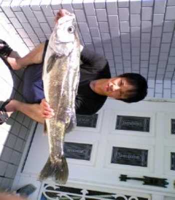 �����Х�