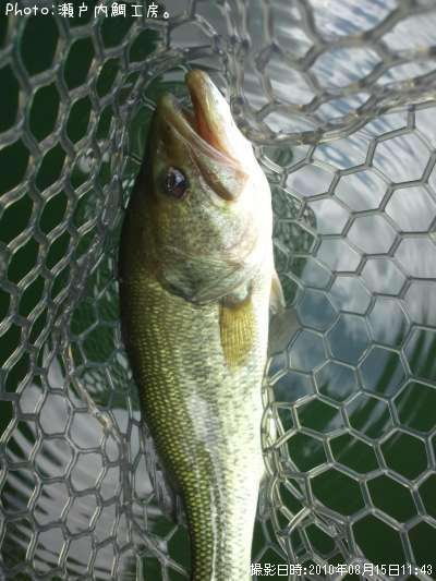 �֥�å��Х�