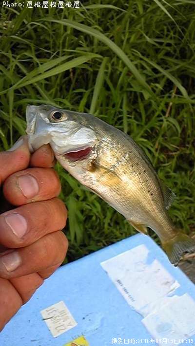 ���������ϥ������ʥ�������