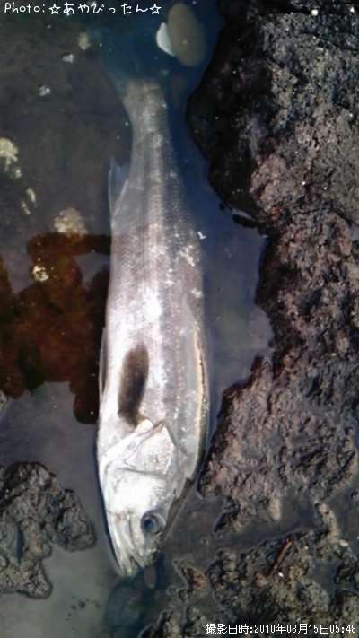 �����Х�