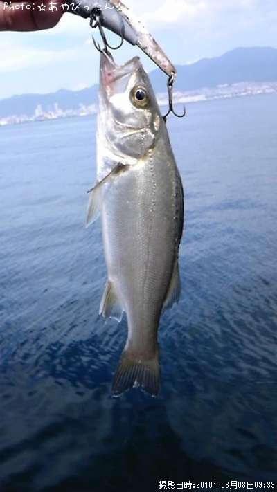 �����Х�