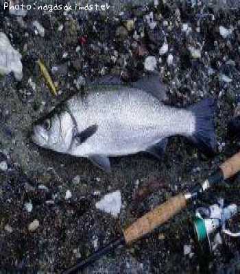 �ҥ饹����