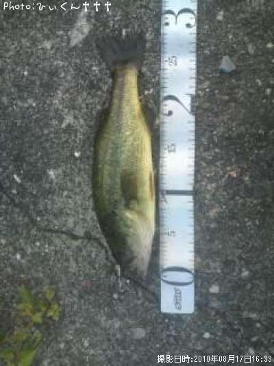 �֥�å��Х�