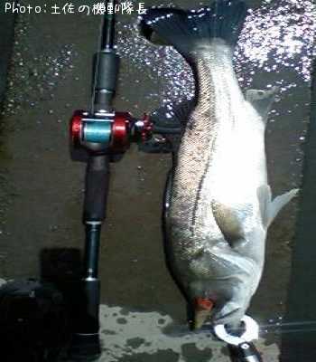 �ۥ�������