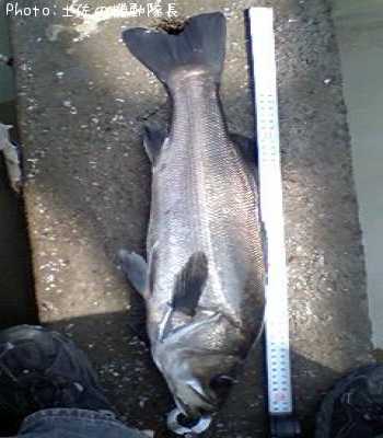 �ۥ�������