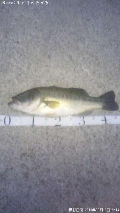 �֥�å��Х�