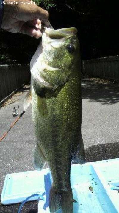 �֥�å��Х�