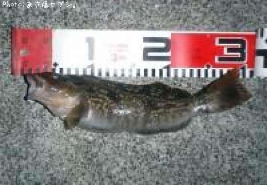 �����ʥ�