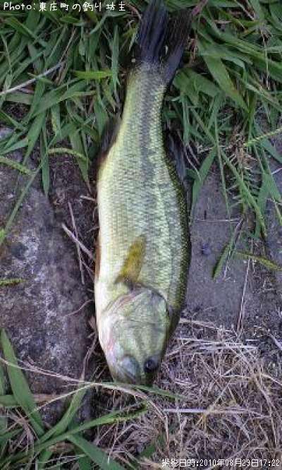 �֥�å��Х�