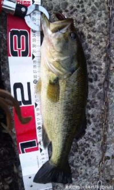 �֥�å��Х�