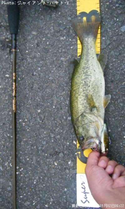 �֥�å��Х�