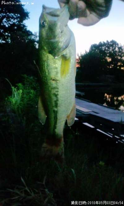 �֥�å��Х�