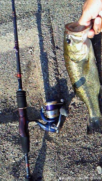 �֥�å��Х�