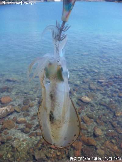 �����ꥤ��