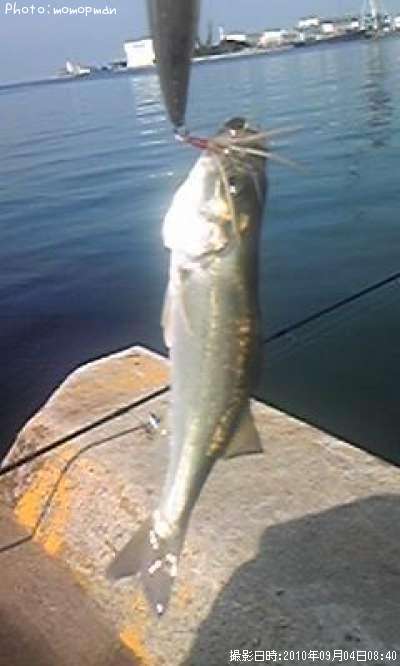 �����Х�