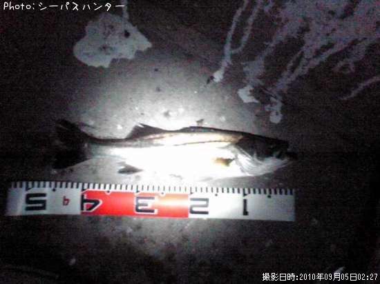 �����Х�