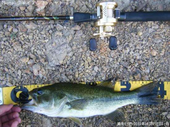 �֥�å��Х�