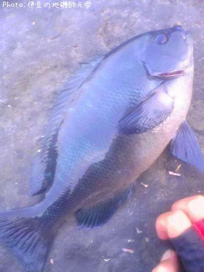 �����᥸��