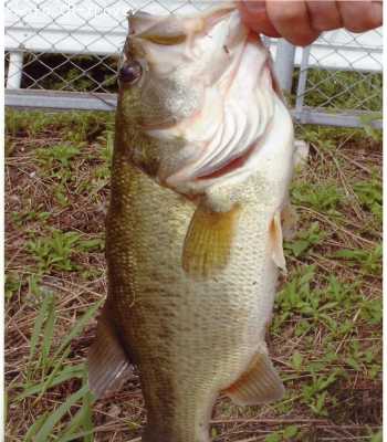 �֥�å��Х�