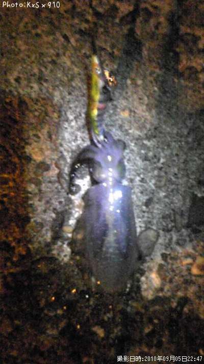 �����ꥤ��