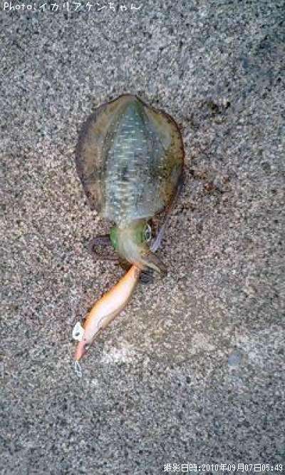 �����ꥤ��