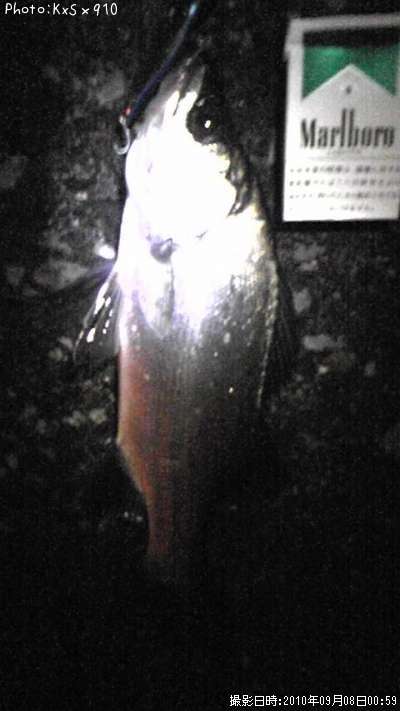 �����Х�