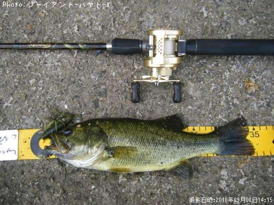 �֥�å��Х�