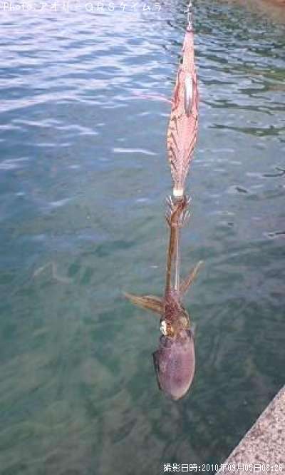 �����ꥤ��