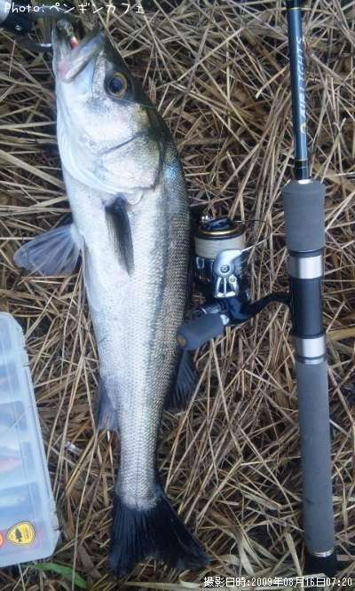 �����Х�