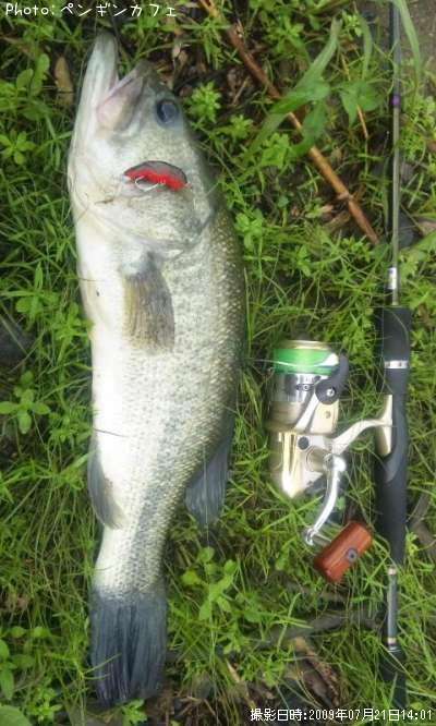 �֥�å��Х�