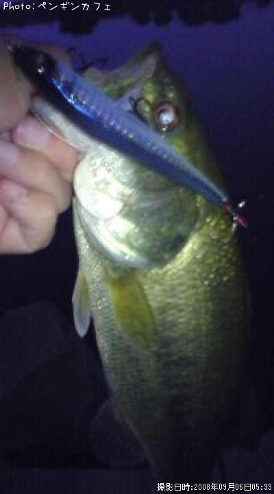 �֥�å��Х�