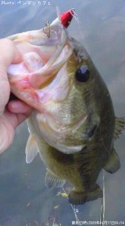 �֥�å��Х�