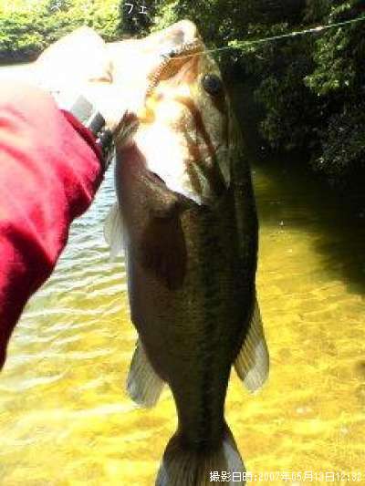 �֥�å��Х�