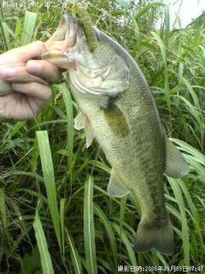 �֥�å��Х�