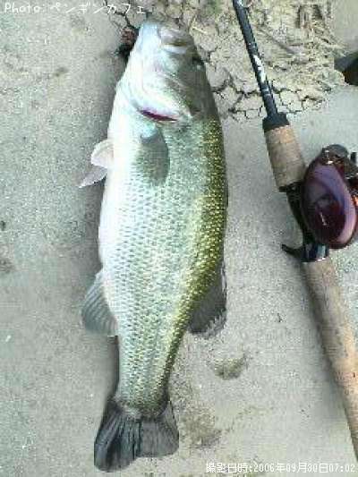 �֥�å��Х�