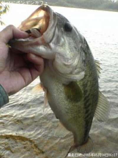 �֥�å��Х�